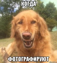 когда фотографируют