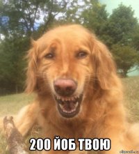  200 йоб твою