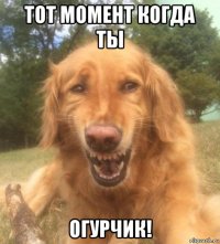 тот момент когда ты огурчик!