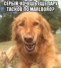 серый, хочешь еще пару тасков по marlboro? 