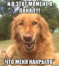 и в этот момент я понял!!! что меня накрыло*