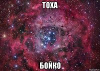 тоха бойко