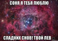 соня я тебя люблю сладких снов! твой лев☺