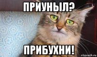 приуныл? прибухни!