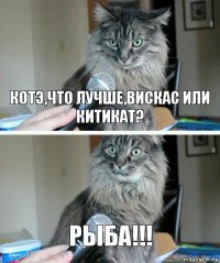 Котэ,что лучше,вискас или китикат? РЫБА!!!