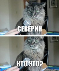 северин кто это?