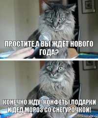 Простите,а вы ждёт Нового года? Конечно жду! Конфеты,подарки и Дед Мороз со Снегурочкой!