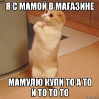 я с мамой в магазине мамулю купи то а то и то то то