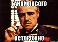 ганяй лисого осторожно