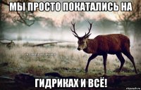 мы просто покатались на гидриках и всё!