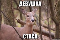 девушка стаса