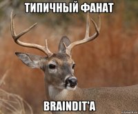 типичный фанат braindit'a