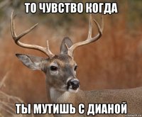 то чувство когда ты мутишь с дианой