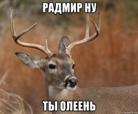 радмир ну ты олеень