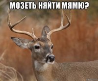 мозеть няйти мямю? 