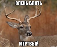 олень блять мёртвый