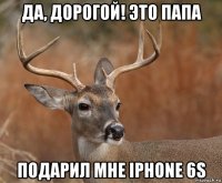 да, дорогой! это папа подарил мне iphone 6s