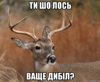 ти шо лось ваще дибіл?