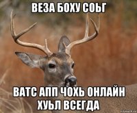 веза боху соьг ватс апп чохь онлайн хуьл всегда