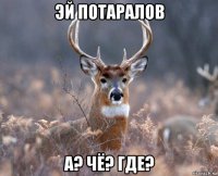 эй потаралов а? чё? где?