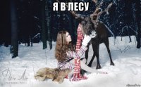 я в лесу 