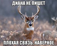 диана не пишет плохая связь, наверное