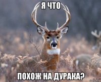 я что похож на дурака?