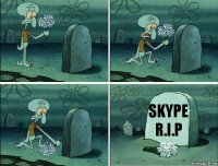 skype
R.I.P