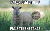 найди себе лучше раз я тебе не такая