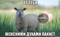 от тебя женскими духами пахнет