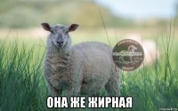  она же жирная