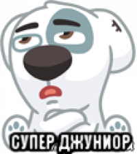  супер джуниор