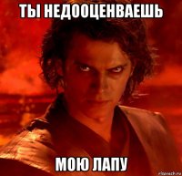 ты недооценваешь мою лапу