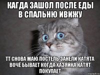 кагда зашол после еды в спальню ивижу тт снова маю постель занели катята вочё бывает когда хазяйка катят покупает