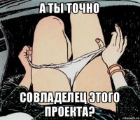 а ты точно совладелец этого проекта?