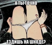 а ты точно ездишь на шкоде?