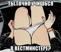 ты точно учишься в вестминстере?