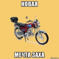 новая мечта заха