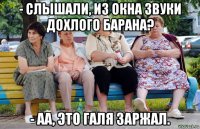 - слышали, из окна звуки дохлого барана? - аа, это галя заржал.