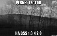 ревью тестов на bss 1.3 и 2.0