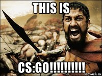 this is cs:go!!!!!!!!!!