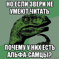 но если звери не умеют читать почему у них есть альфа-самцы?