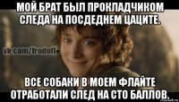 мой брат был прокладчиком следа на посдеднем цаците. все собаки в моем флайте отработали след на сто баллов.