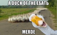 a duck of the ебать merde