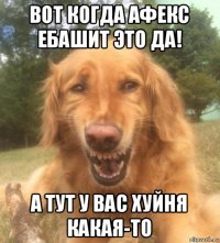 вот когда афекс ебашит это да! а тут у вас хуйня какая-то