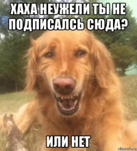 хаха неужели ты не подписалсь сюда? или нет