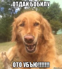 отдай бобилу ото убъю!!!!!!!