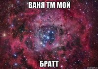 ваня тм мой братт