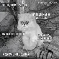 Еще и днем приходи Утром на тренировку На третий урок успеешь Иди уроки сделай Ну как тренировка Все ночь есть собралась что ли    