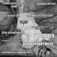 Папик непускает за комп ФШ слетел Плагины не работают Лайтрм переустанавливать Лёня капризничает Бабушка ворчит Игорь гнобит меня Денег на ноут нет Печенька не едет в гости В шкафу сказали что я бездарность